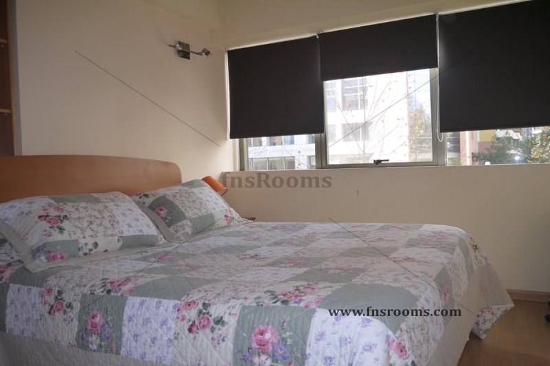 Furnished apartments in Santiago