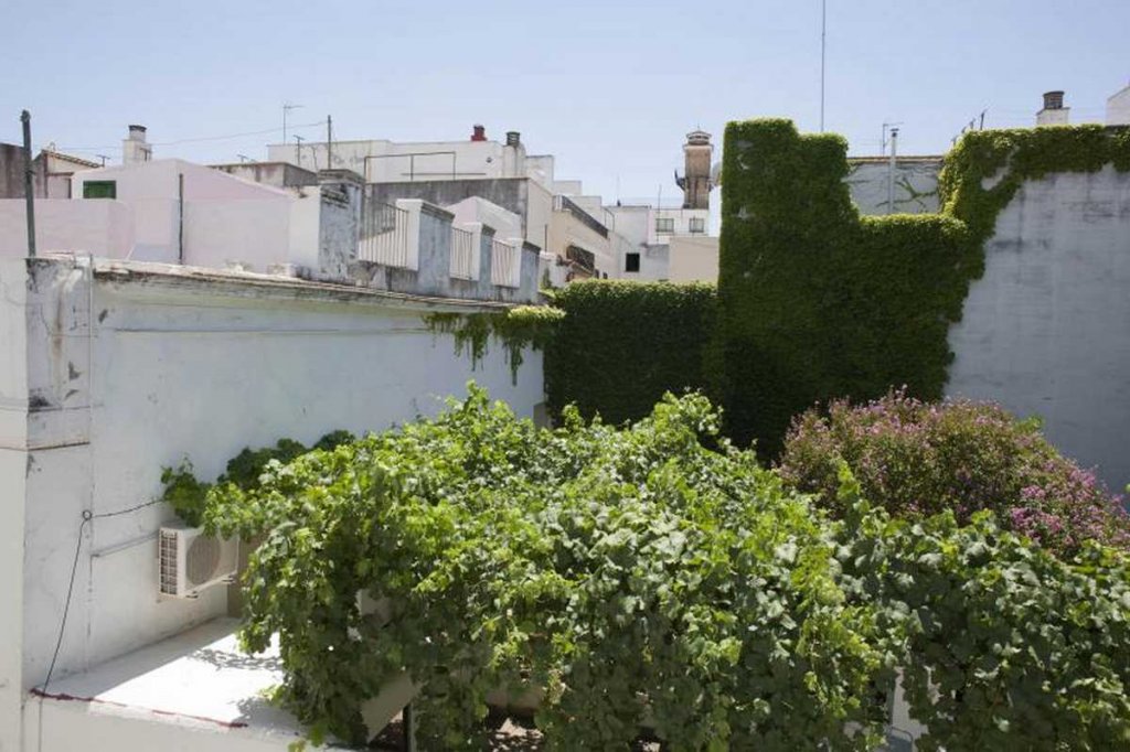2 - Fotos Sevilla Dream Hostel