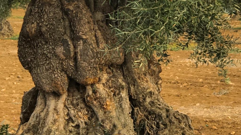 Hostel Layos Toledo Layos - Toledo