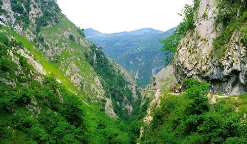 Primavera en Asturias: Rutas Naturales y Paisajes Cerca de Oviedo