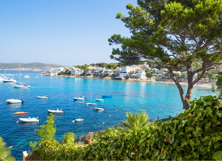 Descubre el corazón de Palma: Qué ver cerca de Can Savella