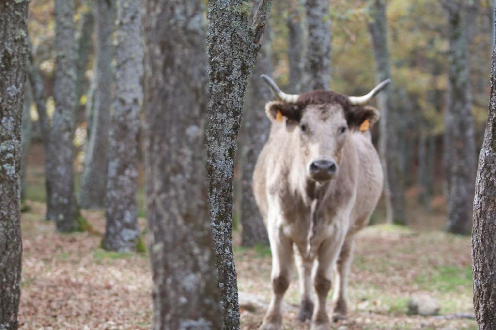 La importancia de estar en contacto con la naturaleza La importancia de estar en contacto con la naturaleza